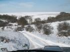 thumbs/pict0063.jpg