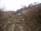 thumbs/pict0173.jpg