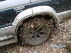 thumbs/sany0378.jpg