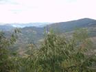 thumbs/pict0218.jpg