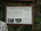 thumbs/pict0229.jpg