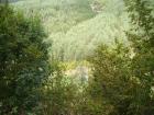 thumbs/pict0240.jpg