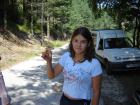 thumbs/DSC00329.jpg