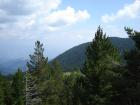 thumbs/DSC00338.jpg