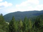 thumbs/DSC00339.jpg