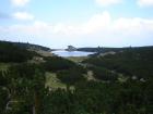 thumbs/DSC00366.jpg