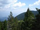 thumbs/DSC00338.jpg