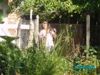 thumbs/PICT0007.jpg