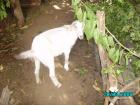 thumbs/PICT0042.jpg