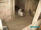 thumbs/PICT0043.jpg