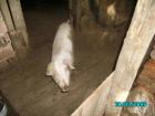 thumbs/PICT0044.jpg