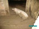 thumbs/PICT0045.jpg