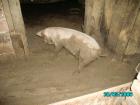 thumbs/PICT0046.jpg