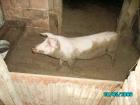 thumbs/PICT0047.jpg