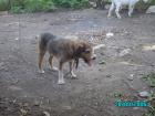 thumbs/PICT0049.jpg