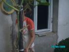 thumbs/PICT0052.jpg