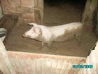thumbs/PICT0047.jpg