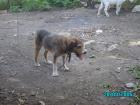 thumbs/PICT0049.jpg