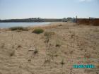 thumbs/pict0234.jpg