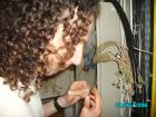 thumbs/pict0275.jpg