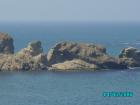 thumbs/pict0344.jpg