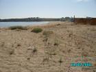 thumbs/pict0234.jpg