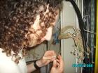 thumbs/pict0275.jpg