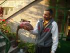 thumbs/pict0334.jpg