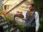 thumbs/pict0335.jpg