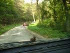 thumbs/pict0357.jpg