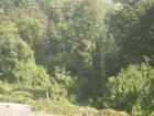 thumbs/pict0374.jpg