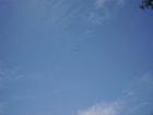 thumbs/pict0390.jpg