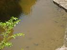thumbs/pict0007.jpg