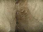 thumbs/pict0035.jpg