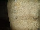 thumbs/pict0061.jpg