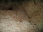 thumbs/pict0065.jpg