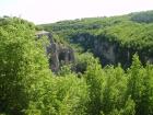 thumbs/pict0077.jpg