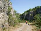 thumbs/pict0089.jpg