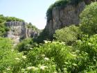 thumbs/pict0097.jpg