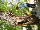 thumbs/pict0116.jpg