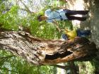 thumbs/pict0117.jpg