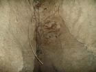 thumbs/pict0035.jpg