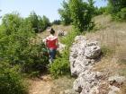 thumbs/pict0084.jpg