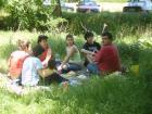 thumbs/pict0120.jpg