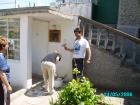 thumbs/pict0011.jpg