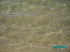 thumbs/pict0016.jpg