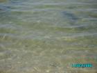 thumbs/pict0017.jpg