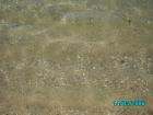 thumbs/pict0018.jpg