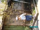 thumbs/pict0055.jpg