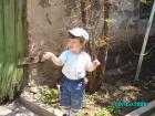 thumbs/pict0057.jpg